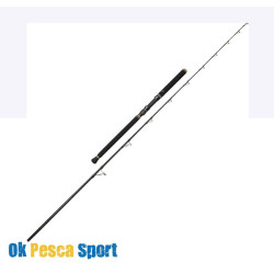 Canna Penn Regiment II tuna 2,5 mt 50 lb