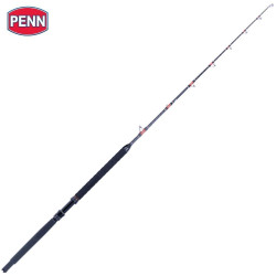 canna Penn OVERSEAS PRO boat 2 pezzi