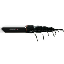 canna Colmic MITIKA bolognese azione 20 g