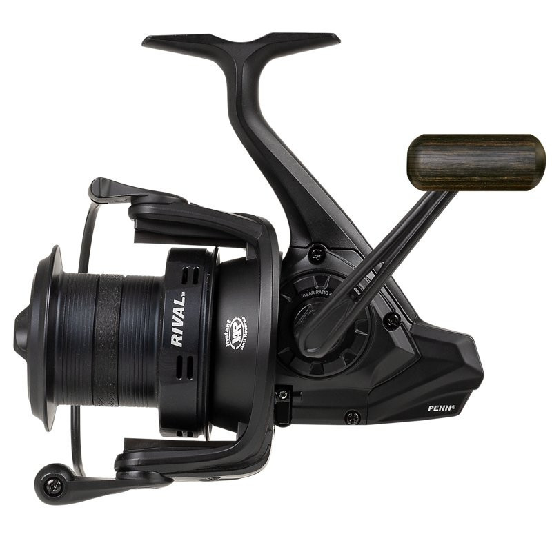 mulinello surf Penn RIVAL LC 6000-Ok Pesca Sport-novità 2021