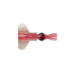 SAvage Gear SWIM SQUID RTF 160 g