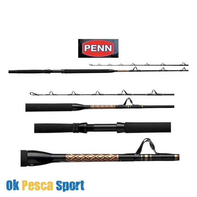 canna PENN INTERNATIONAL V 6'6" 20/40 lb