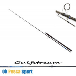 canna Rapture GULF STREAM yellowtail